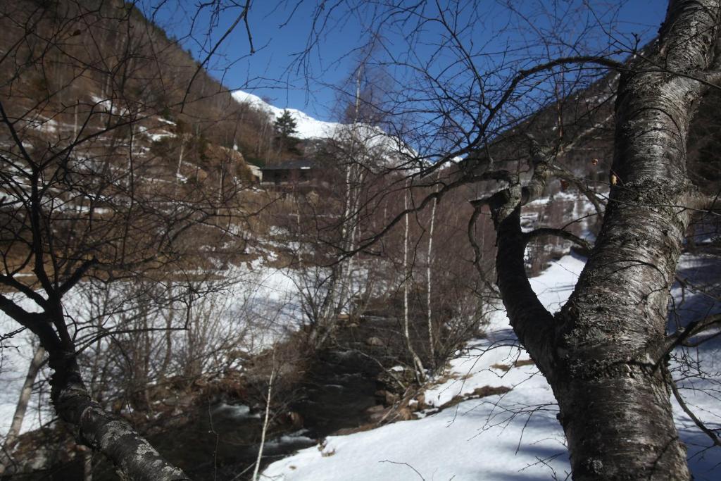 Apartaments Turistics Prat De Les Mines Ordino Exteriör bild